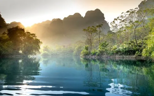 智能系统智慧